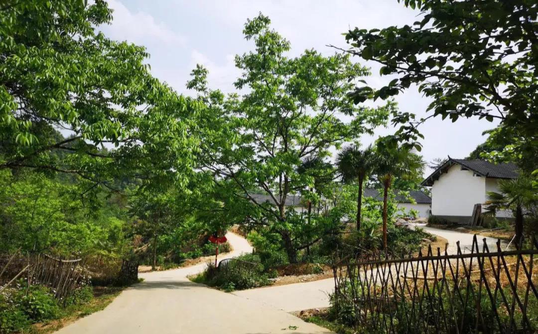 云南鄉(xiāng)村旅游，“玩”出特色！德宏：打好發(fā)展組合拳