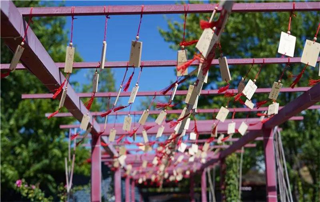 賞花親水、荷塘野趣……楚雄東華濕地公園許你一個(gè)繽紛夏日