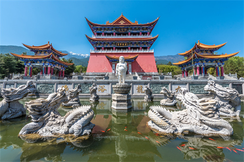 陽(yáng)春三月去大理蒼山西坡，看人間最美的杜鵑花！
