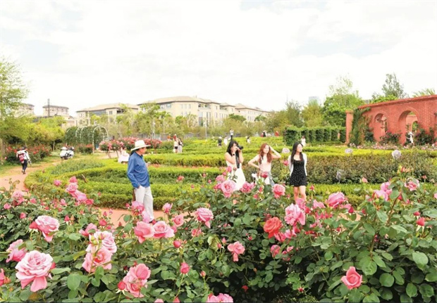 云南旅游,云南旅行社,云南團(tuán)建公司,云南策劃公司,云南會議公司,昆明旅游,昆明旅行社,昆明團(tuán)建公司,昆明策劃公司,昆明會議執(zhí)行：旅居昆明，在花海里通關(guān)四季！花歷正在更新，等你來簽收春天→